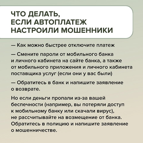 avtoplateji 10
